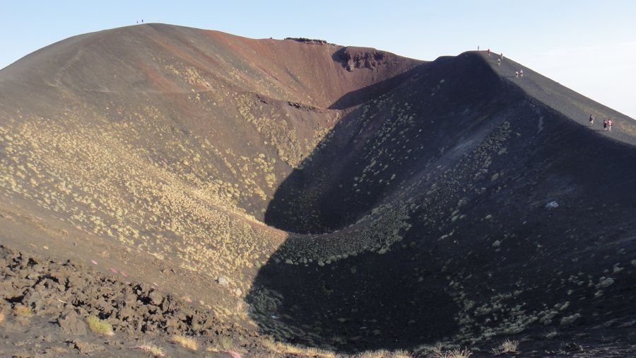 muschi si licheni pe Etna